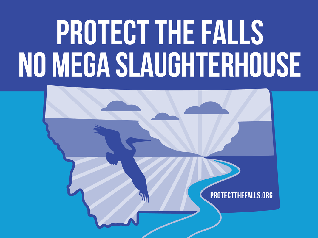Protect the Falls, No Mega Slaughterhouse